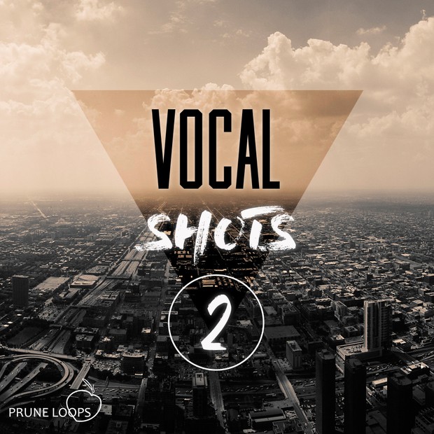 Vocal Shots Vol 2