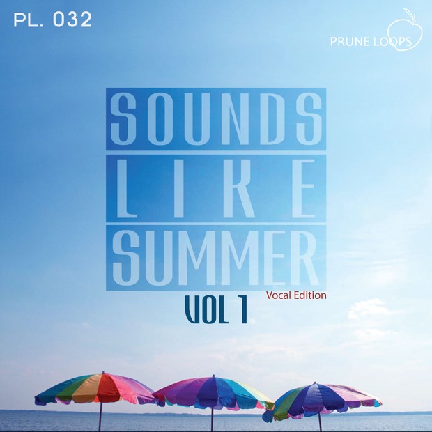 Sounds Like Summer Vol 1