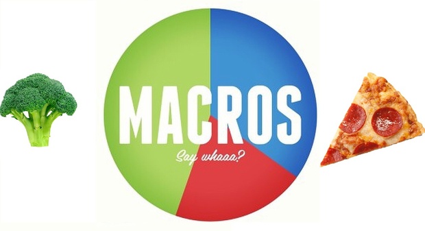 MACROS MEAL PLAN