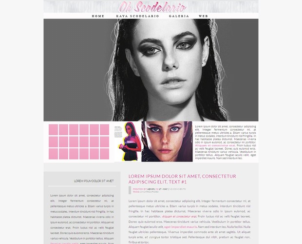 Wordpress premade #2