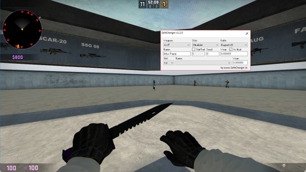 CS:GO SkinChanger Undetected (Glove changer)