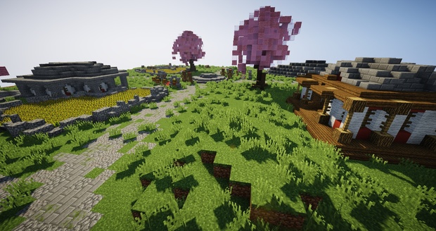 100 x 100 SIMPLE HCF Server Spawn