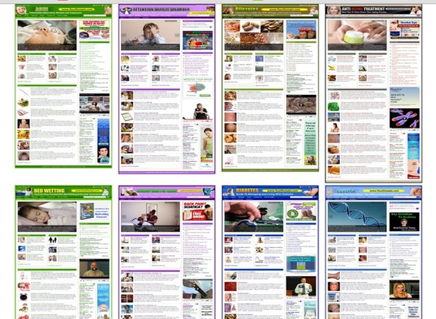 Acne - Health Big Potential Niche Fully Monetize WordPress Turnkey Blog