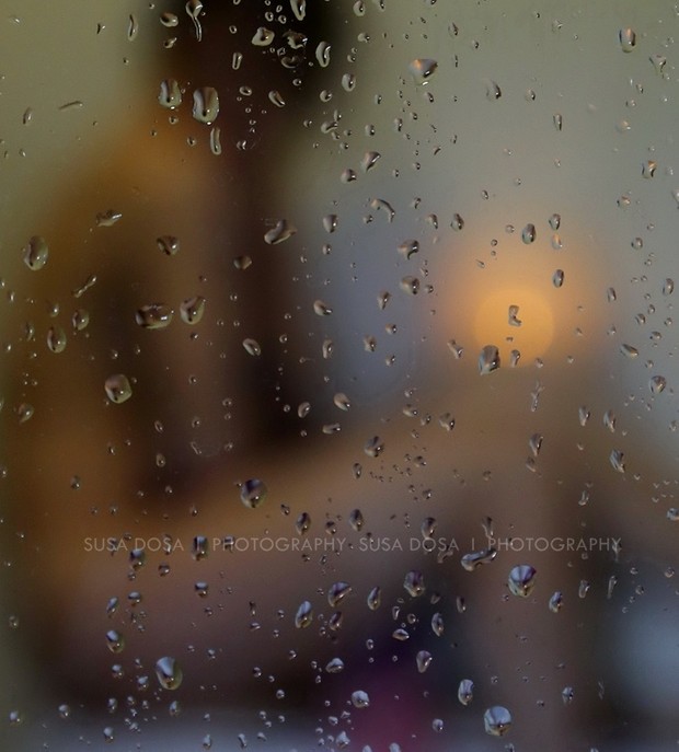 - Trough the Window -