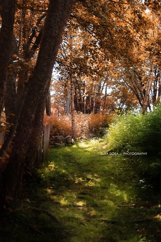 - Path -