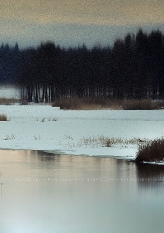- Winter landscape -