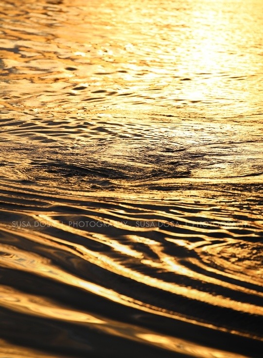 - Golden waves -