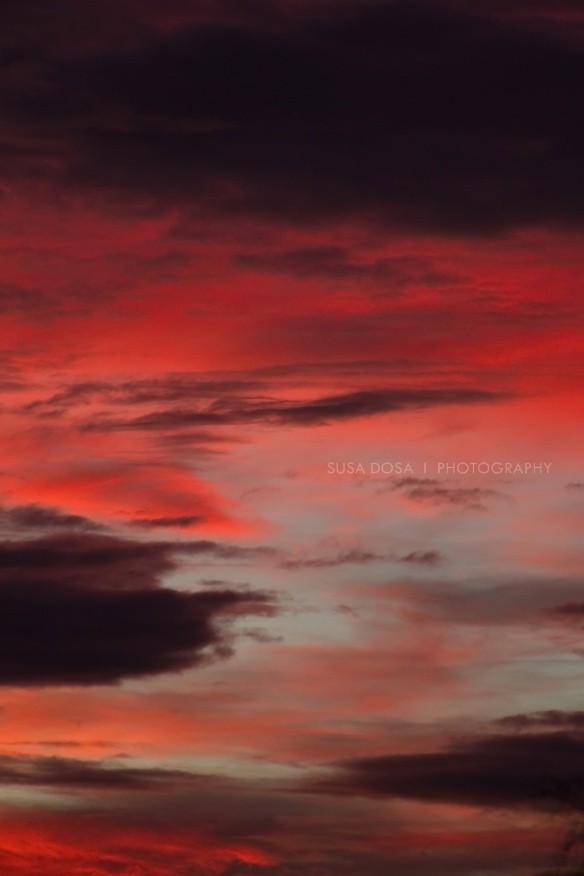 - Dramatic evening sky -