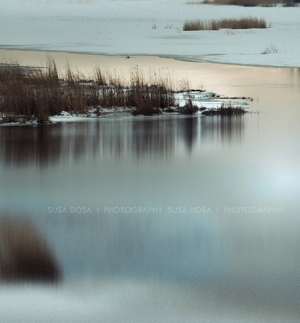 - Winter landscape -