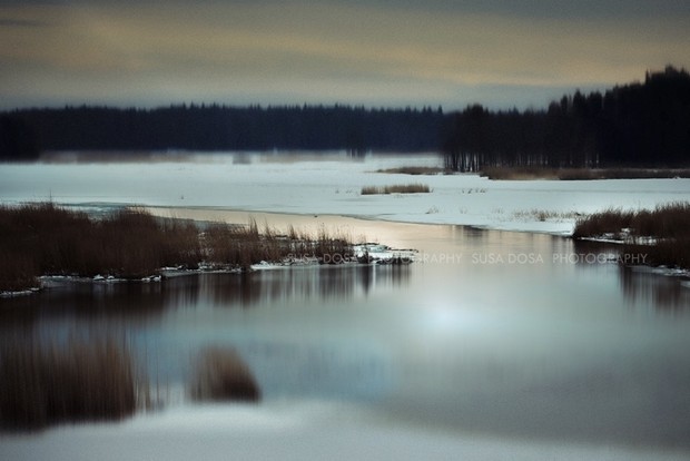 - Winter landscape -