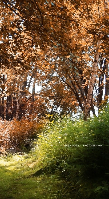 - Path -