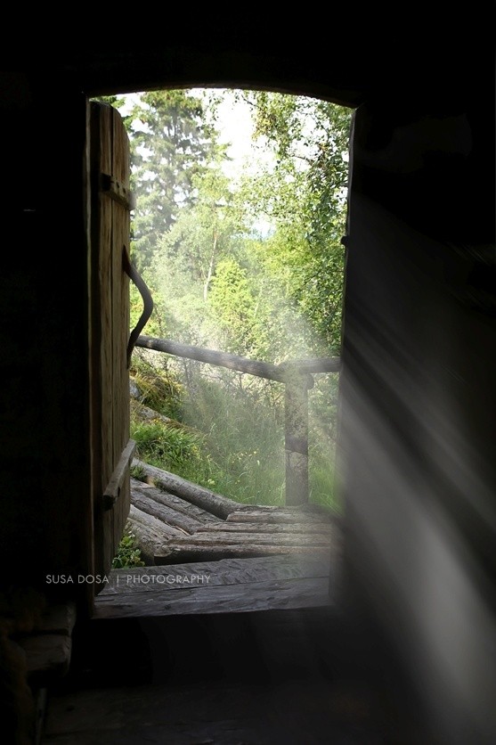 - Cabin -