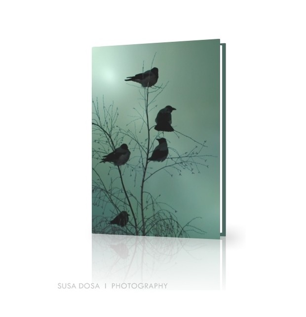 - Birds -