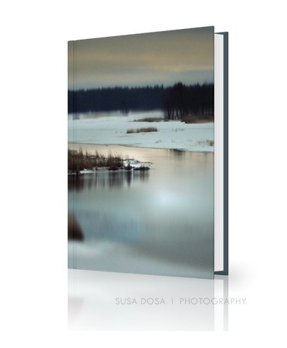 - Winter landscape -