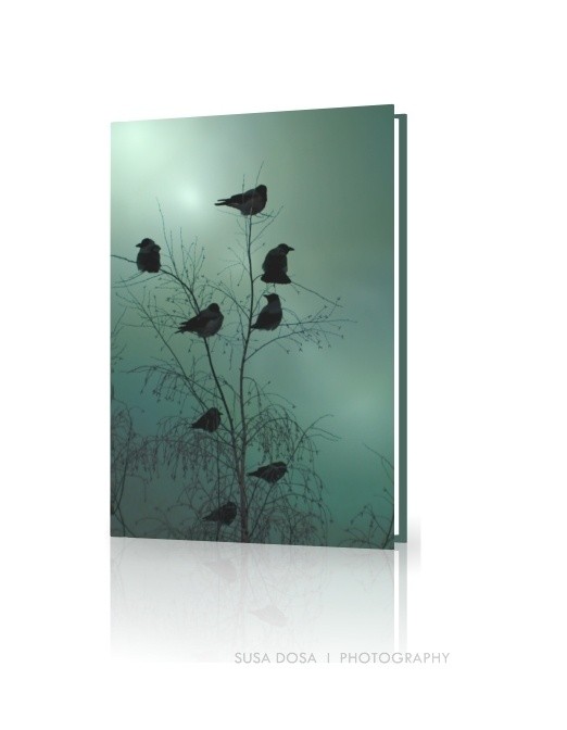 - Birds -