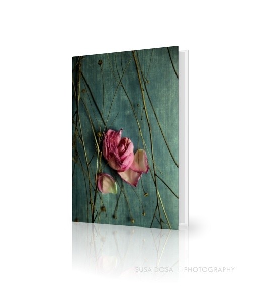 - Lonely Rose -