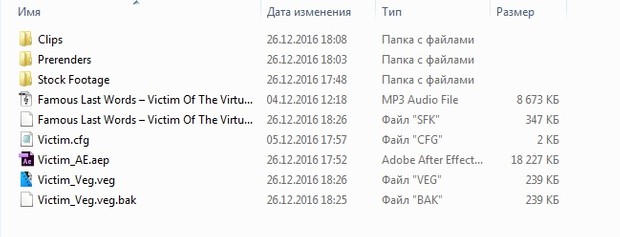 Victim Project Files