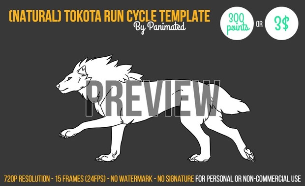 Tokota Run Cycle Template