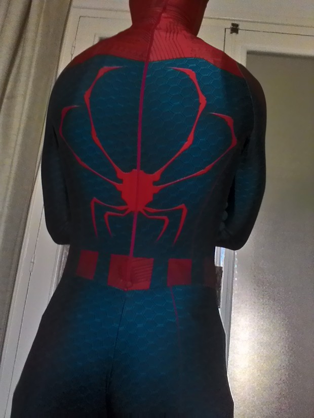 Sentinel Spider V3 pattern