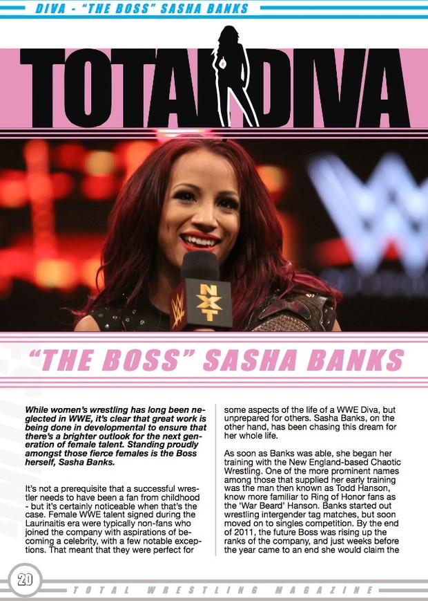 Total Wrestling March 2015