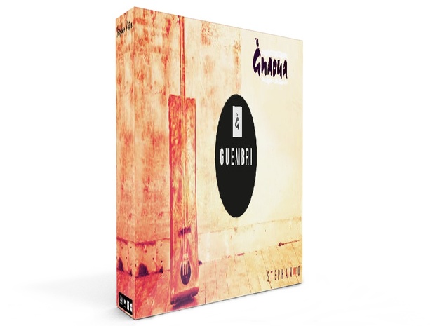 Guembri vst plugin