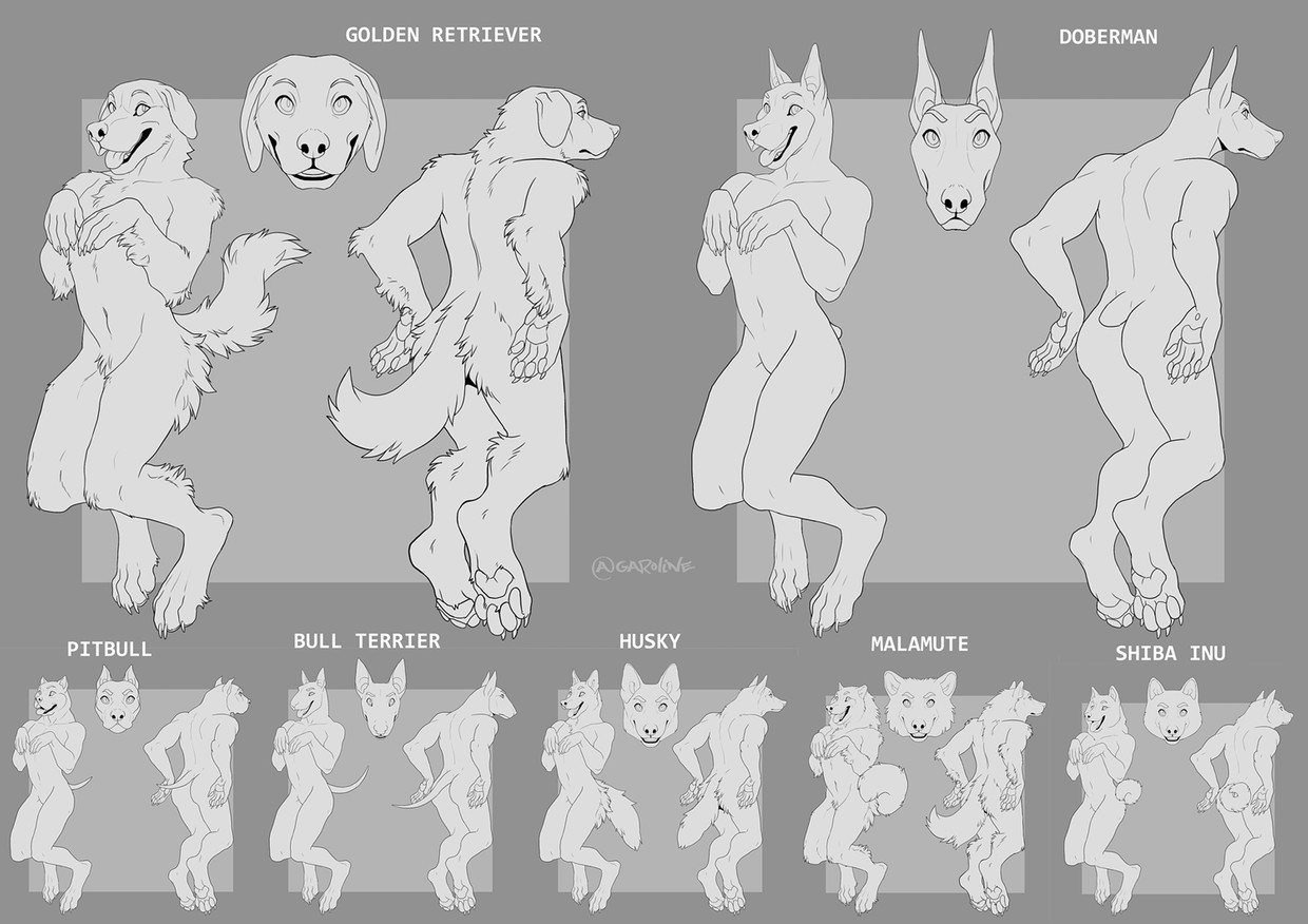 DOG ANTHRO base (male) - Garoline