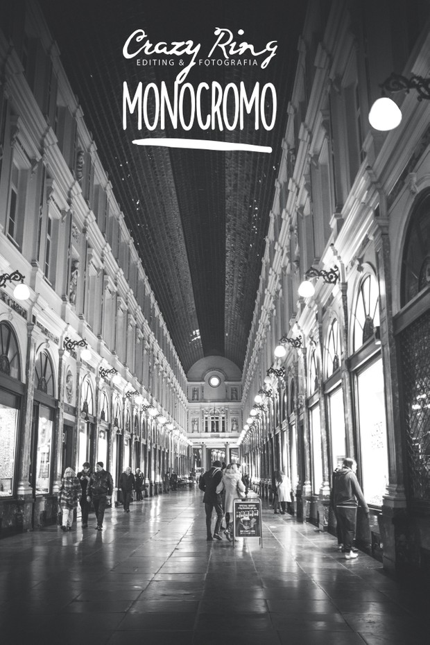 MONOCROMO COLLECTION The Crazy Ring Preset - For Lightroom and Camera Raw