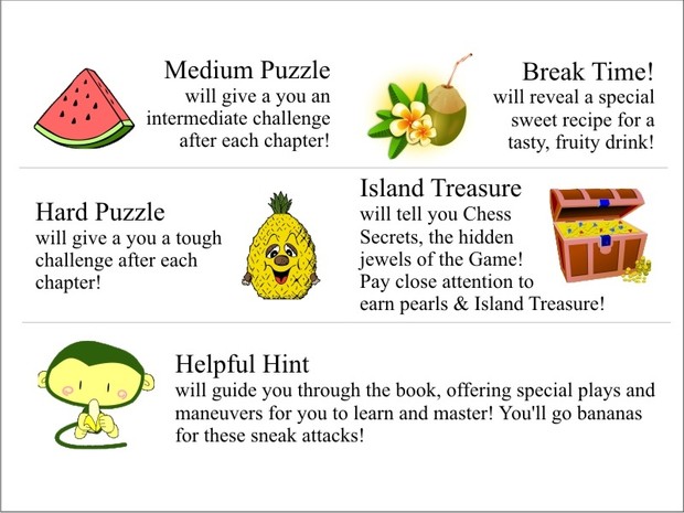 Island Adventure! (Enchanted Chess) (Volume 1)