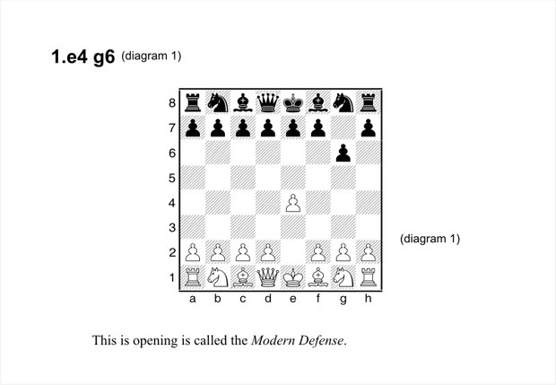 AGE 10: I'm an Expert (Enchanted Chess) (Volume 15)