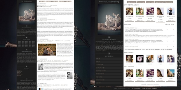 Toxic Wordpress Theme and Coppermine Theme Combo