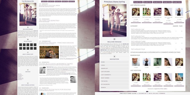 Toxic Light Wordpress Theme and Coppermine Theme Combo
