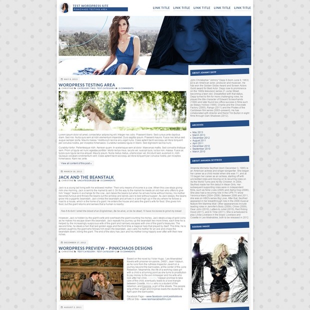 Slim Wordpress Theme