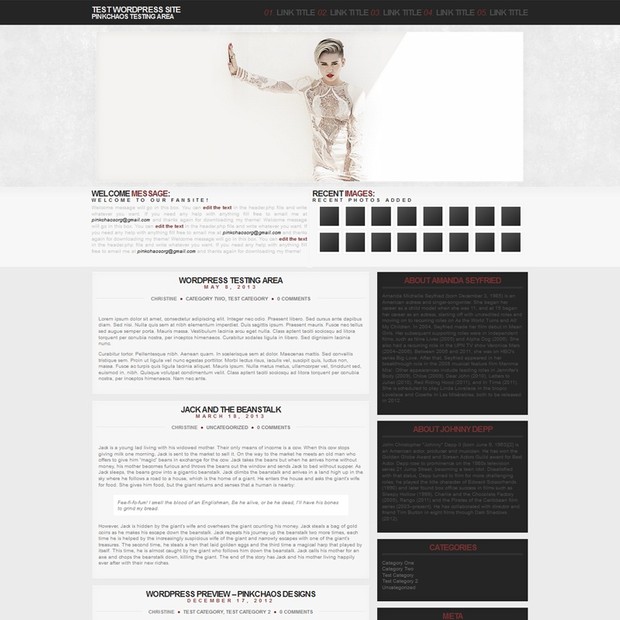 Black and White WordPress Theme