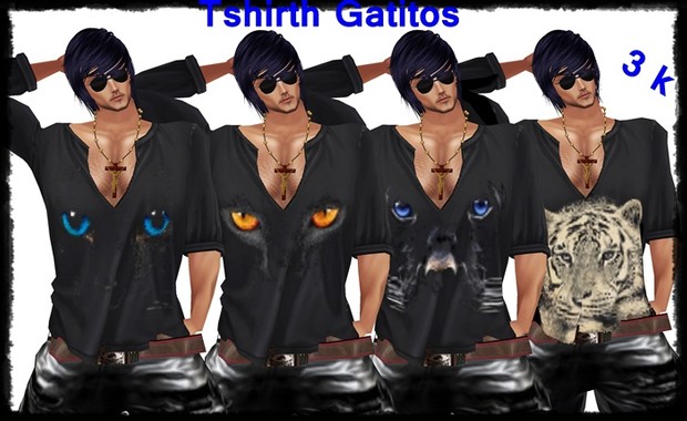 FILES TSHIRTH GATITOS