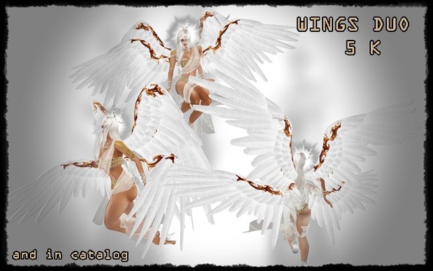 WINGS ALAS ANGELES DUO FILE