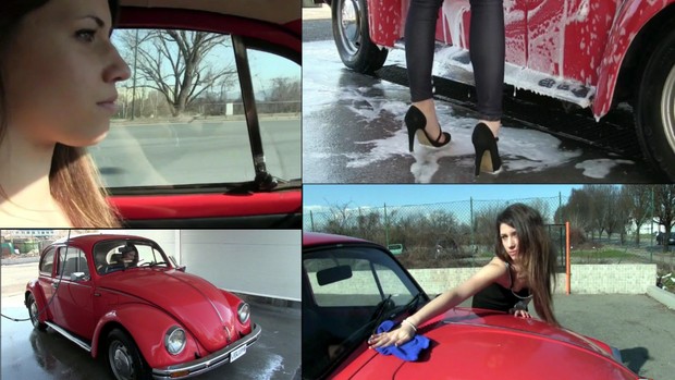 141 : Miss Black Mamba WV Beetle car wash