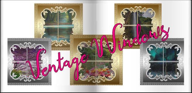 Vintage windows