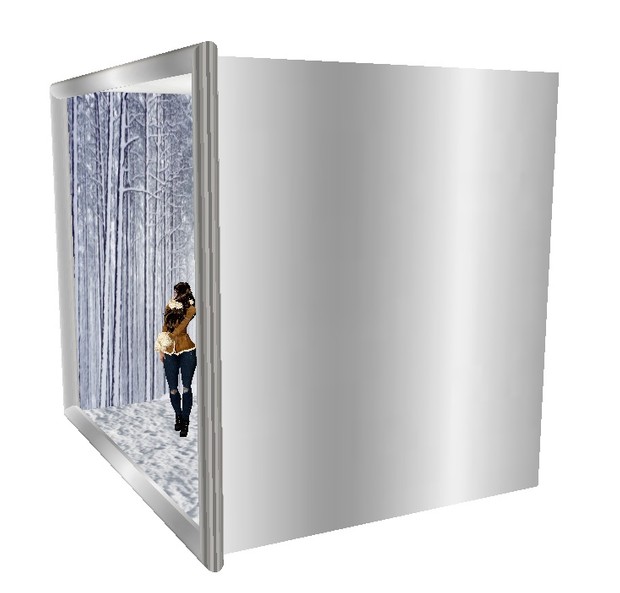 Picture Session Box mesh