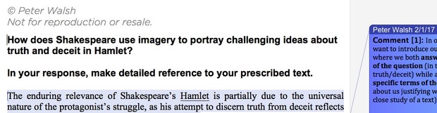 Module B: Hamlet HSC English Package 2018