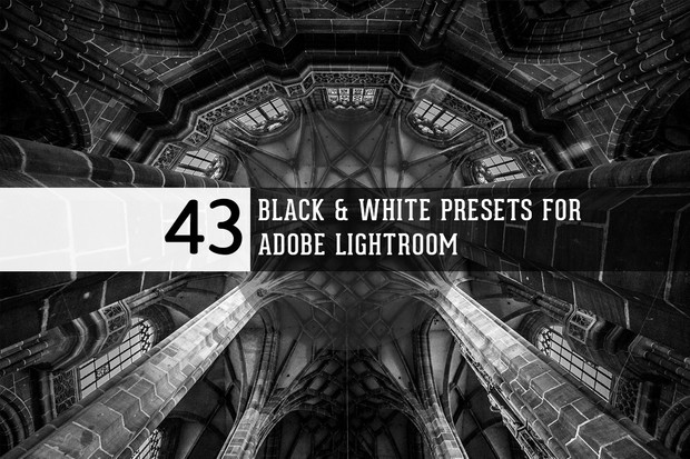 Black & White presets for Adobe Lightroom
