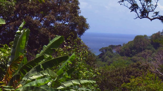 Caribbean 'Green' Travel: Your Choices Make a Difference