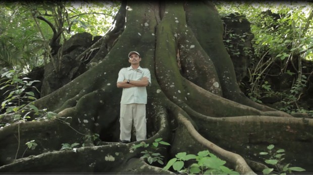 The Goose with the Golden Eggs: Tourism on Costa Rica's Pacific Coast