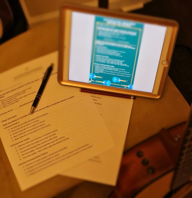 Check Yourself Before You Wreck Yourself- Guitar Player Assessment Bundle