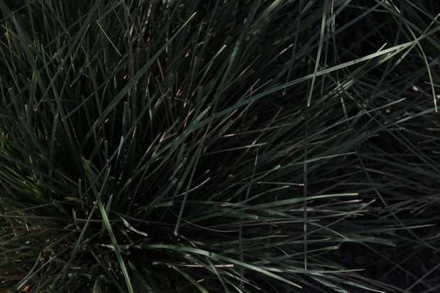 ambience sample pack 1