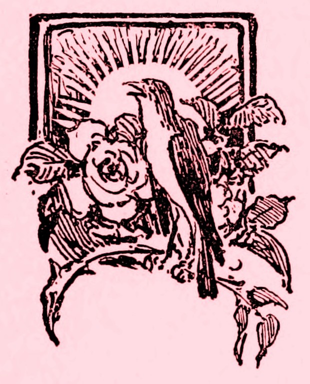 Audiolibro: El ruiseñor y la rosa