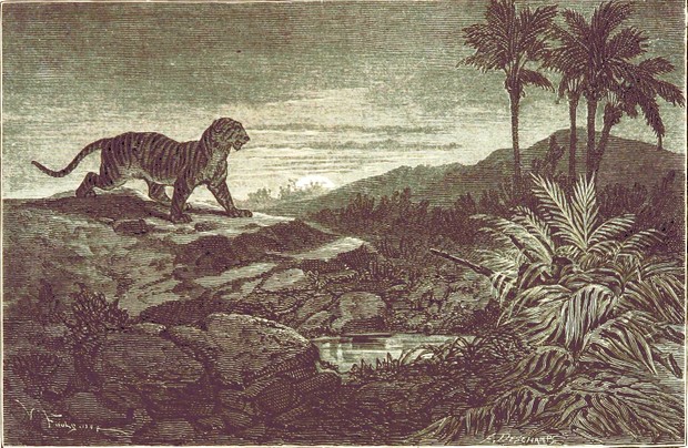 Audiolibro: El libro de la Selva
