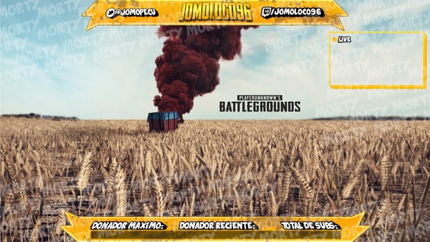 Custom Streamig Overlay