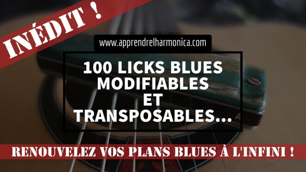 100 Licks blues modifiables et transposables - 2016