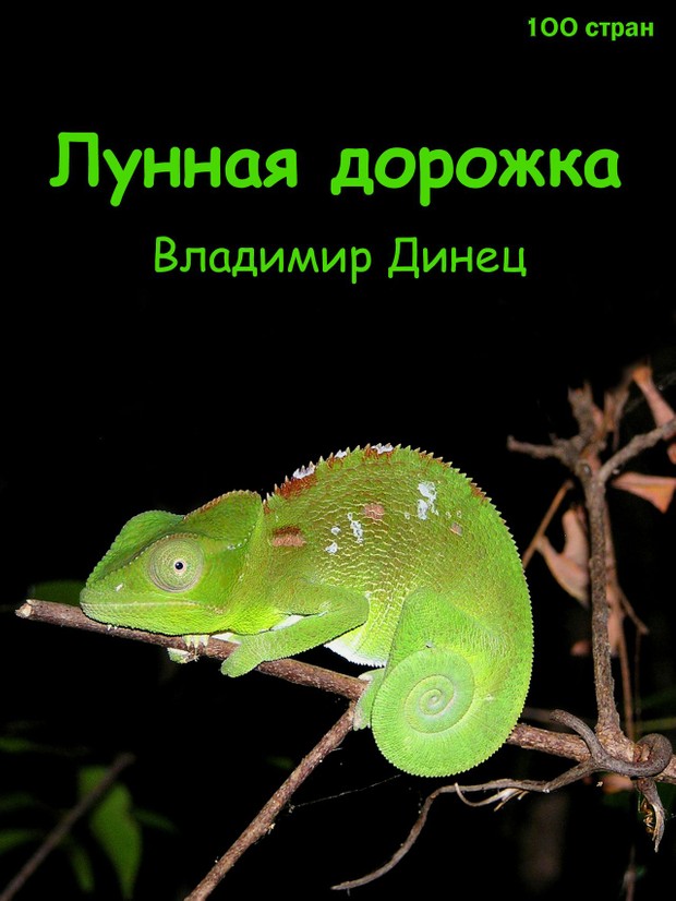 книга