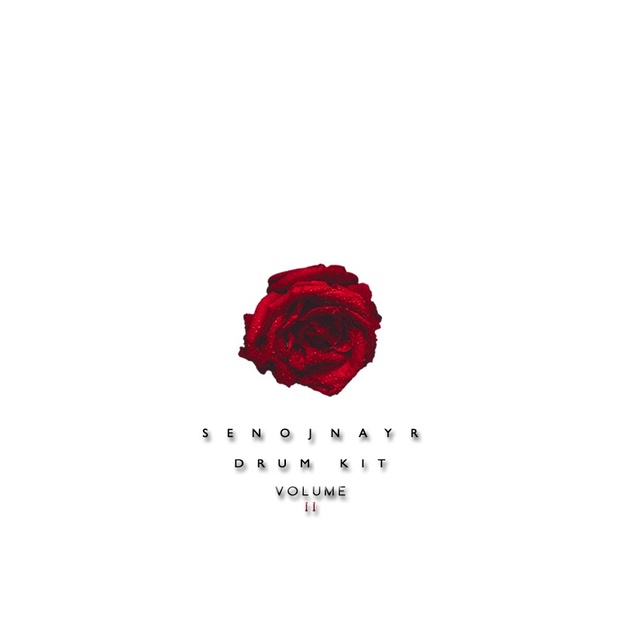 SENOJNAYR DRUM KIT VOL. 2
